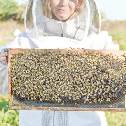 Farmhouse Artisan Goat Milk & Tallow Soap Collection