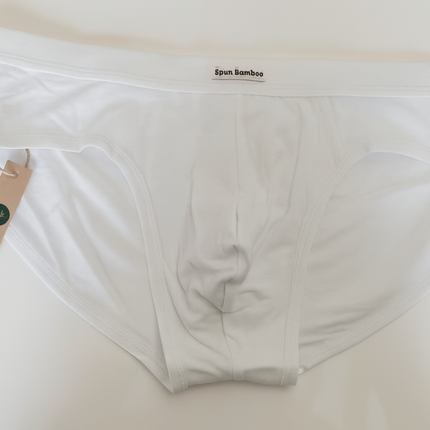 Men's Bamboo Viscose Briefs Underwear